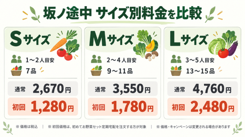 S・M・Lの「通常価格・初回価格・品数」を一目で比較